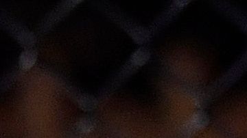 Cody Garbrandt y Raphael Assuncao