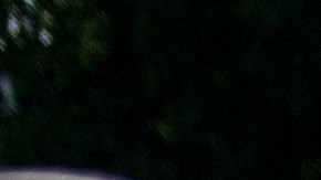 Policía Estatal protege la estatua derribada de Colón en Minnesota