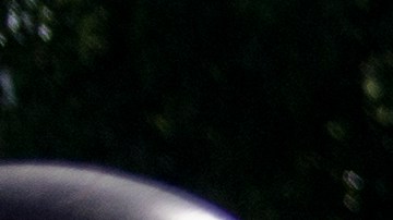 Policía Estatal protege la estatua derribada de Colón en Minnesota