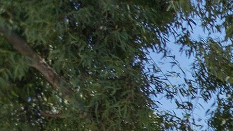 Alguaciles bloquean una protesta por la muerte de Robert Fuller en Palmdale.