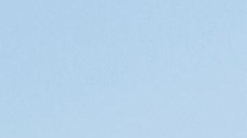 Los manifestantes pedían la renuncia de la alcaldesa de St. Louis, Missouri.