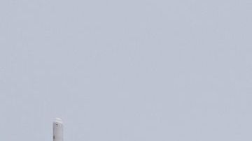 Anthony Fauci coronavirus cierres economía COVID-19 brotes Texas Arizona distanciamiento social negocios pandemia