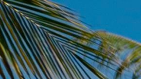 Ciclistas paseando en la emblemática avenida de Ocean Drive en Miami Beach.