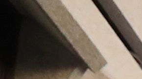 Manifestantes protestan frente a la sede del Departamento de Policía.