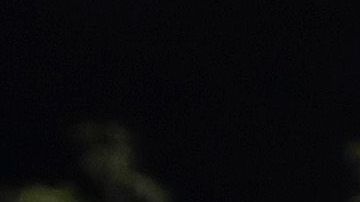 Manifestante frente a la policía en una protesta en Miami.