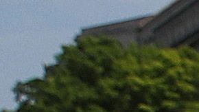 Las protestas en las inmediaciones de la Casa Blanca se escuchaban en el interior de la residencia.