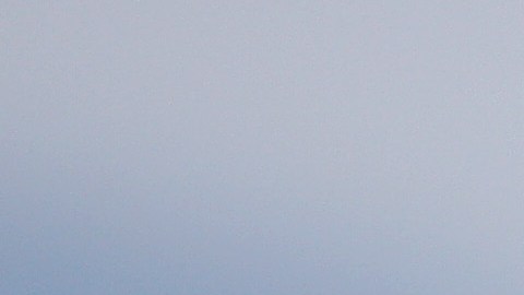 Estatua de Cristobal Colón en Boston quedó sin cabeza.