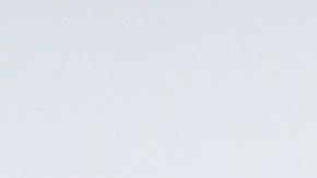 Amazon coronavirus COVID-19 trabajadores bono dinero primera linea Minnesota Alemania