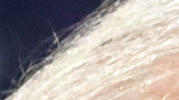 Biden critica a Trump en un momento de baja aprobación para el presidente.