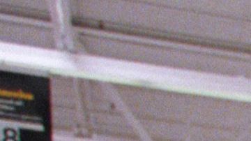 George Floyd Walmart armas municiones protestas Doug McMillon tiroteos