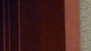 Floyd Mayweather cumplió dos meses de condena.