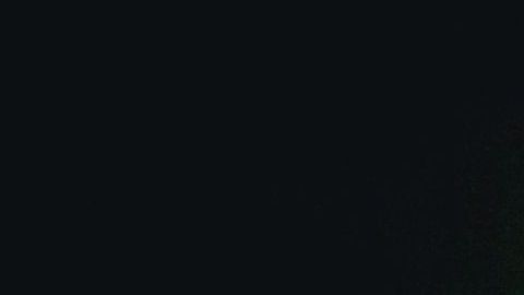 Arthur Ashe ganó 76 títulos como tenista profesional.