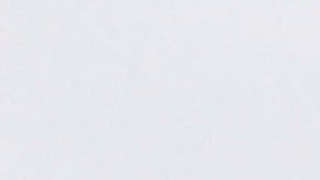 Tyson Waterloo Iowa carne coronavirus COVID-19 trabajadores demanda muertes familias cerdo