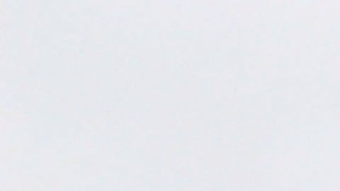 Tyson Waterloo Iowa carne coronavirus COVID-19 trabajadores demanda muertes familias cerdo