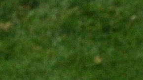 Juan Cuadrado y James Rodríguez