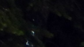 El gobierno quiere incentivar el turismo.