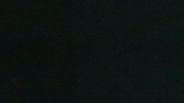 El presidente Trump compartió el video la mañana de este domingo.