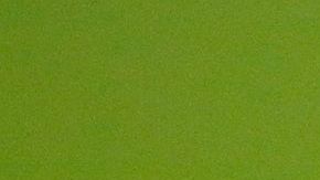 Bacarri Rambo fue detenido el lunes sin derecho a fianza.