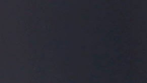 Cachorro de oso Grizzly