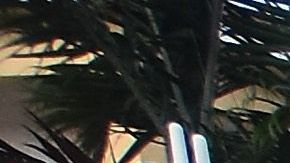 Imagen de archivo de una protesta frente al hotel Trump de Doral.