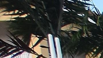 Imagen de archivo de una protesta frente al hotel Trump de Doral.