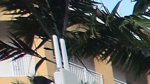 Imagen de archivo de una protesta frente al hotel Trump de Doral.