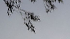 Hertz acciones bancarrota automóviles Uber dinero Nueva York