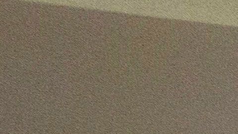 liquidación ventas J.C. Penney economía tiendas departamentales bancarrota