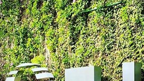 Héctor Sandarti en Televisa