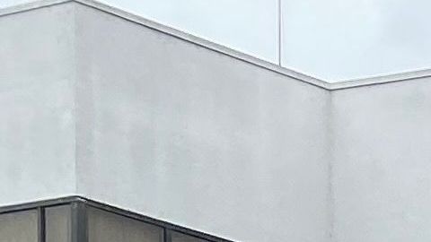 Líderes proinmigrantes fueron al Consulado de México en Los Ángeles a pedir respaldo para un TPS para los trabajadores esenciales. (Cortesía Juan José Gutiérrez).