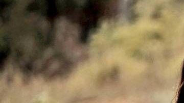 Paola, hija de Adal Ramones lanza "Renacer" su primer cortometraje