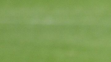 El Apertura 2020 podría arrancar el 17 de julio.