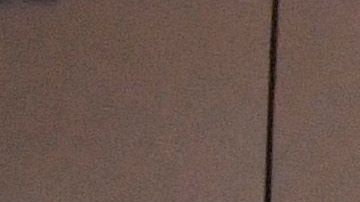 Bruno Valdez y Paul Aguilar volvieron al nido para realizarse las pruebas de coronavirus.