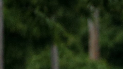 El 19 de junio, o ‘Juneteenth’, es la fecha en que se conmemorar el fin de la esclavitud y la emancipación de los afroamericanos en este país.