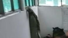 FOTOS: Aíslan de manera inhumana a soldados por sospecha de coronavirus