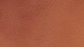 Maripily Rivera publica foto con bodypaint.