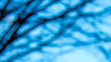 La ex concejal participa en un duelo electoral con 11 aspirantes a ocupar una curul en Washington.