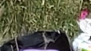 Niño de 2 años aparece asesinado a golpes; 2 sujetos lo robaron de los brazos de su padrastro