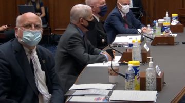 Parte del Equipo Especial de la Casa Blanca contra la pandemia de coronavirus en audiencia en la Cámara.