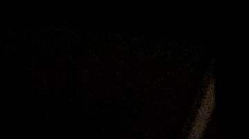 La MTA espera contar con más colaboración de policías para reforzar el distanciamiento social, pero no quiere arrestos.