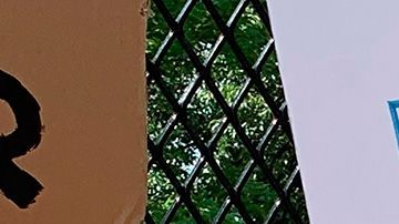 Protesta científicos racismo