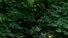 Manifestantes exigiendo recortes de fondos al NYPD llevan una semana acampando afuera de la Alcaldía.