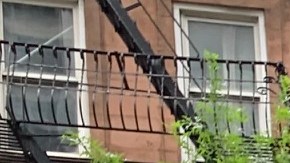 Cómo solicitar la ayuda de Nueva York para pagar la renta.