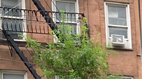 Cómo solicitar la ayuda de Nueva York para pagar la renta.