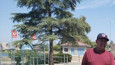 Rosa Miranda, organizadora de vendedores ambulantes en peligro de deportación. (Cortesía Rosa Miranda)