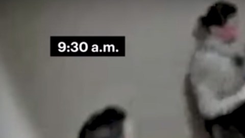 Phillip García en custodia de la Policía.