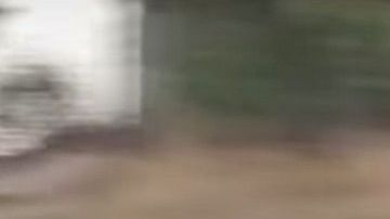 El conductor arrastró la motocicleta por la Autopista 91 al menos tres millas.