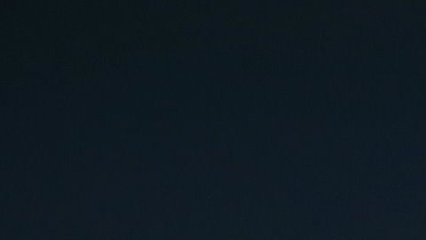 Tim Cook
