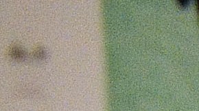 El presidente quiere enviar otro paquete de ayuda económica.