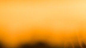 Té-Myriam Zilles de Pixabay